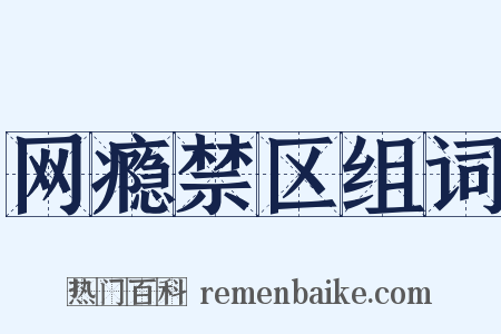 网瘾禁区组词是什么意思的图片